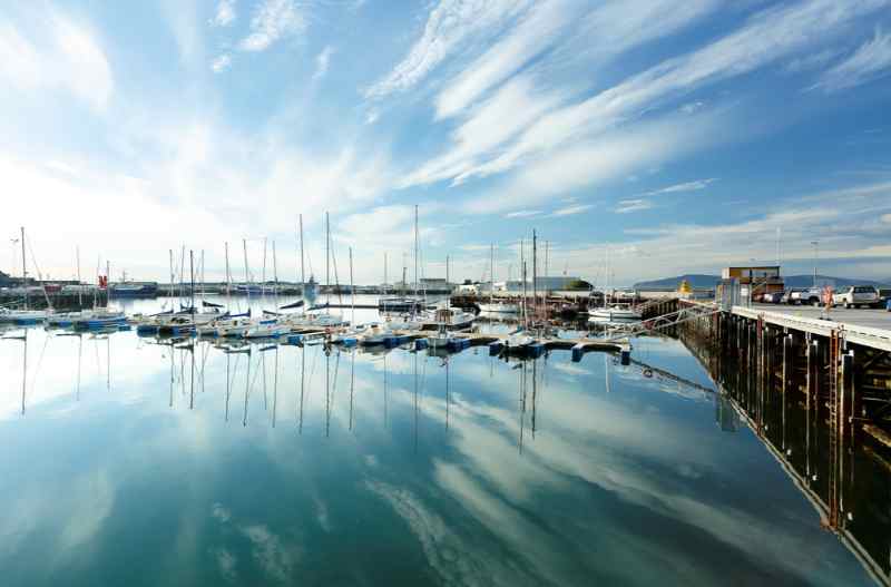 Opciones de crucero por el puerto de Reykjavik
