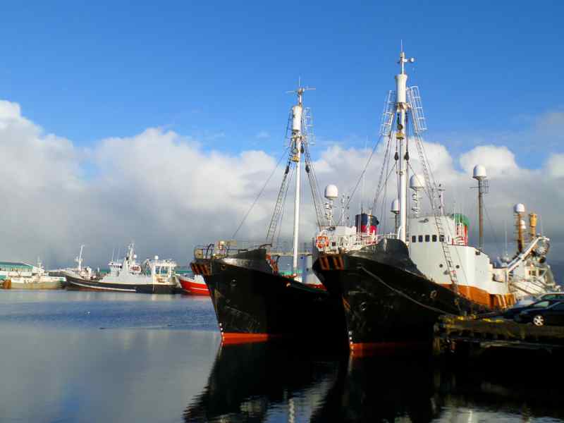 Puerto antiguo de Reykjavik